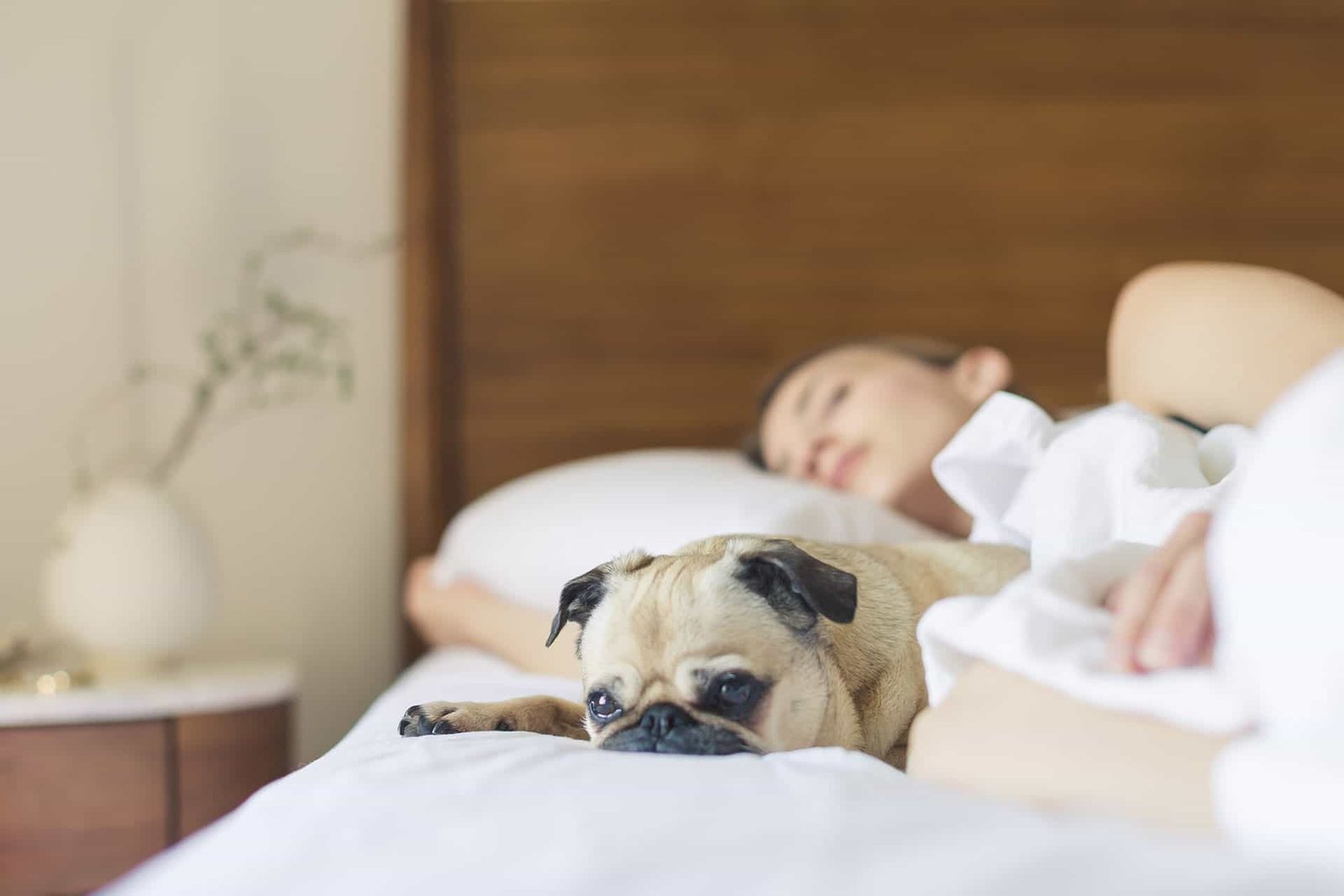 5 Sleep Specialists On What They Do When They Can’t Fall Asleep 5 Sleep Specialists On What They Do When They Can’t Fall Asleep